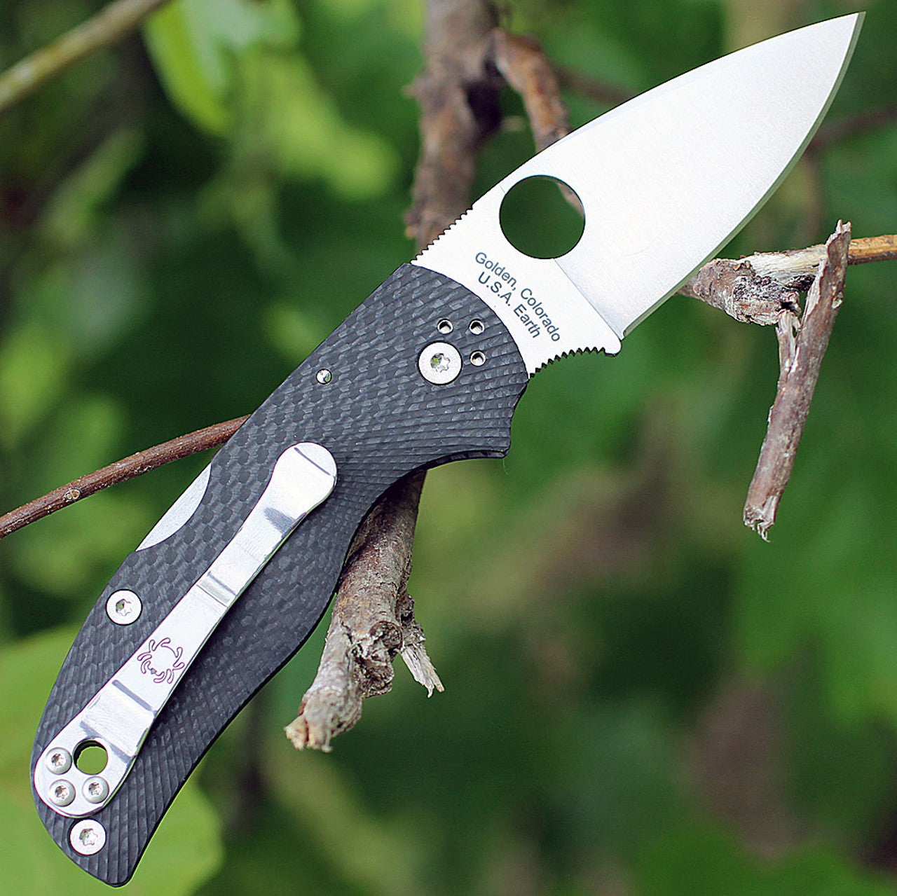 Spyderco | Native 5 Fluted - Carbon Fiber