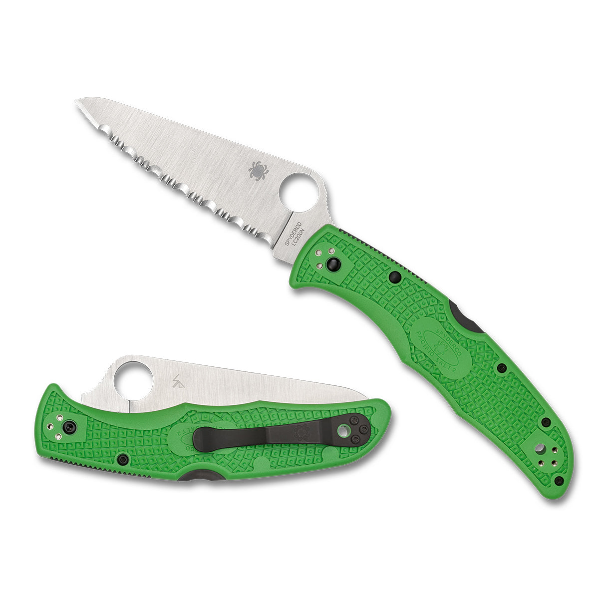 Spyderco | Pacific 2 - Salt Green